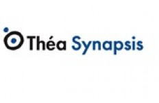 Thea Synapsis