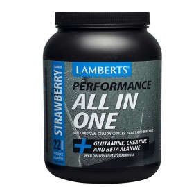 Lamberts Performance All In One Πρωτεΐνη Ορού Γάλακτος με Κρεατίνη & Γεύση Φράουλα 1.45kg