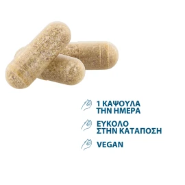 15372