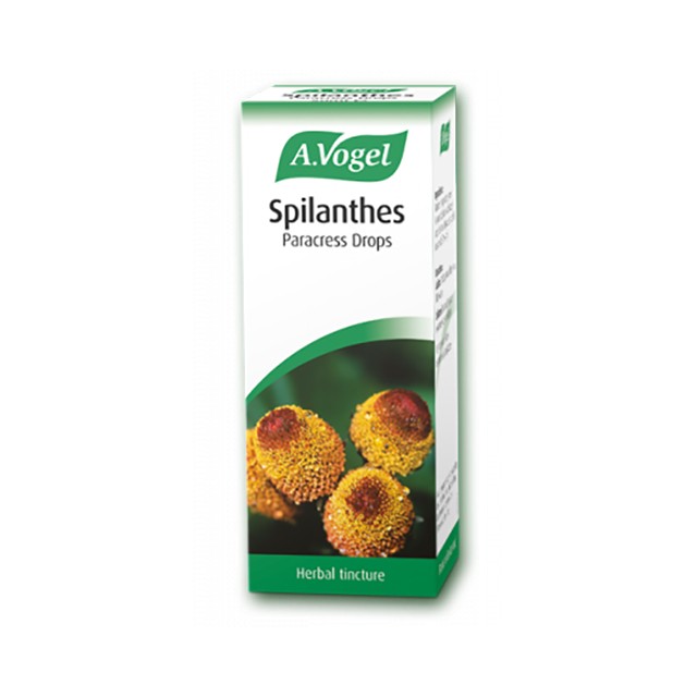 A. Vogel Spilanthes 50ml